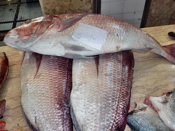 Sea Food Fish Market — Stock Photo, Image