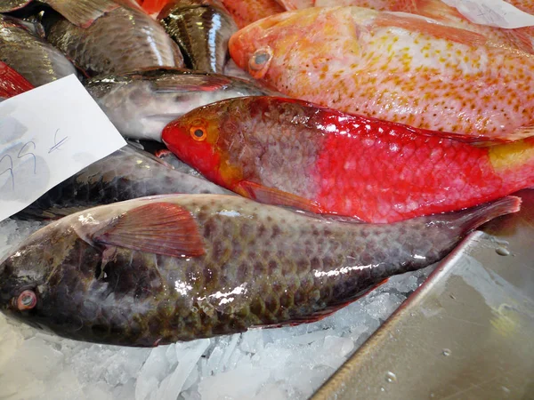 Sea Food Fish Market — Stock Photo, Image