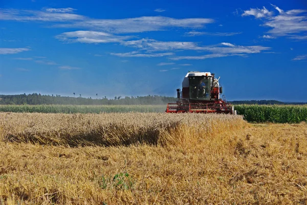 Maaidorser Werkend Een Veld Combineren — Stockfoto