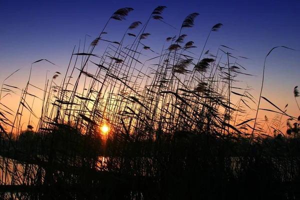 Schöner Blick Auf Den Sonnenuntergang — Stockfoto