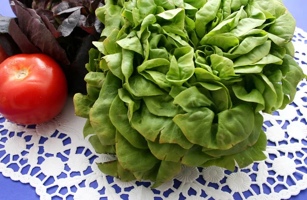 Closeup View Tasty Fresh Salad — Stock Photo, Image