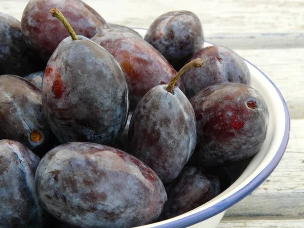 Läckra Färska Mogna Plommon — Stockfoto