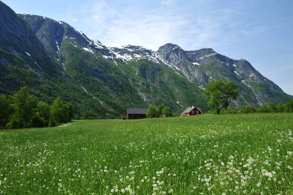 Vista Paesaggi Scandinavia Nel Nord Europa — Foto Stock