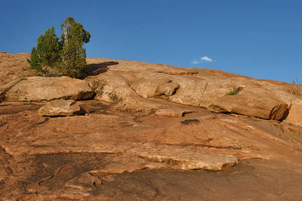 Malerischer Blick Auf Die Natur — Stockfoto