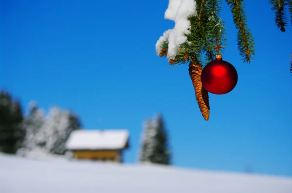 Schilderachtig Uitzicht Kerstvakantie Decoratie — Stockfoto