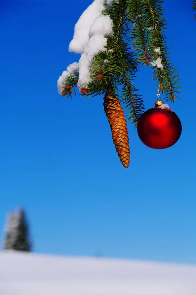 Vacker Utsikt Över Jul Dekorationer — Stockfoto