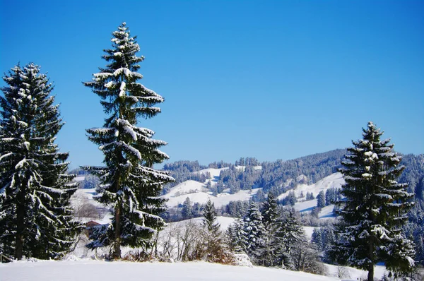 Vacker Utsikt Över Jul Semester Dekoration — Stockfoto