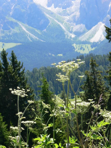 Vista Panoramica Maestosi Paesaggi Alpini — Foto Stock