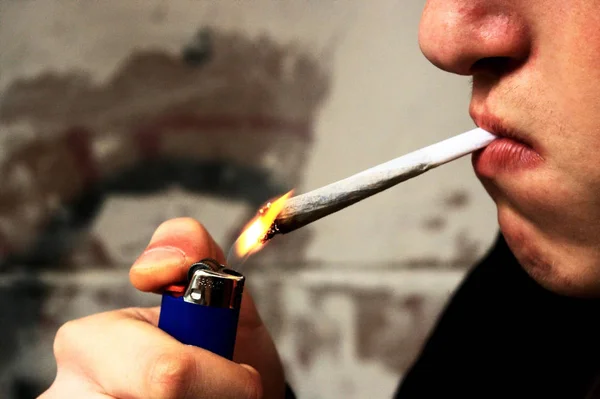 Gerçek Bir Esrar Değil Sadece Içinde Tütün Var — Stok fotoğraf