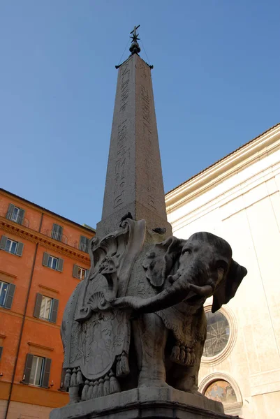 Elefant Obelisk Vid Pantheon — Stockfoto