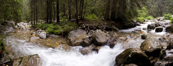 Vista Panorâmica Paisagem Majestosa Dos Alpes — Fotografia de Stock