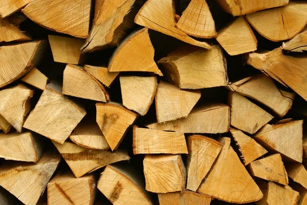 薪木の樹皮 — ストック写真