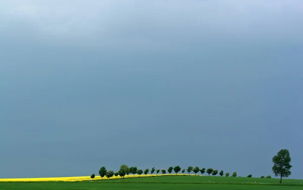 Сельский Пейзаж Зеленой Травой Голубым Небом — стоковое фото