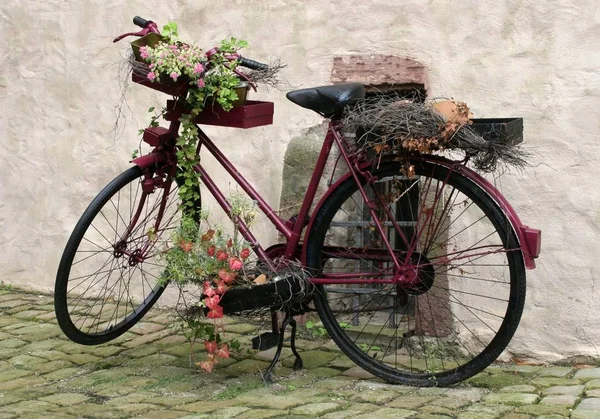 Bicicleta Vintage Com Flores Vermelhas Grama Verde — Fotografia de Stock