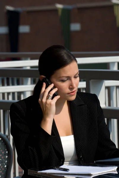 Young Attractive Female Business Professional Cell Phone — Stock Photo, Image