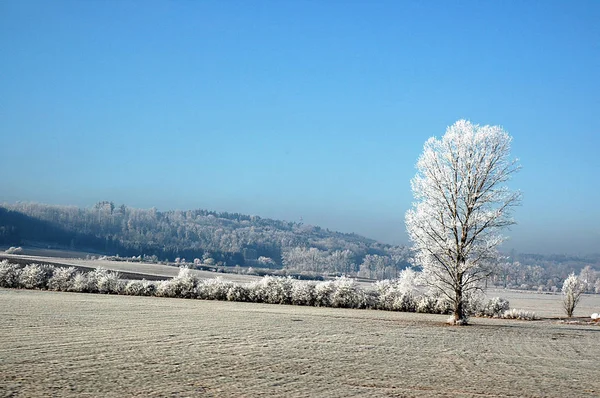 Sfondo Colorato Natale Biglietto Auguri Capodanno — Foto Stock