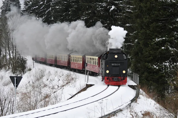Ferrovia Miniatura Nas Madeiras Inverno — Fotografia de Stock