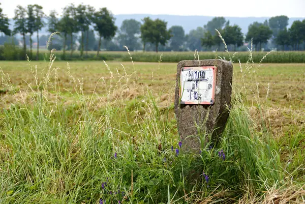 Festői Kilátás Mezőgazdaságra Vidéken — Stock Fotó