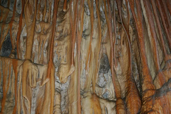 Texture Bark Tree — Stock Photo, Image