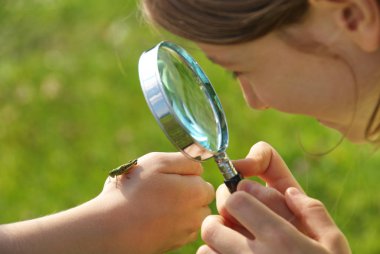 child sees grasshopper under the magnifying glass clipart