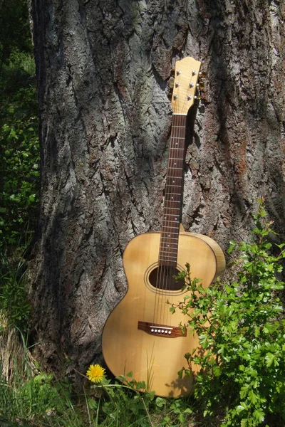 Gitara Trawie — Zdjęcie stockowe