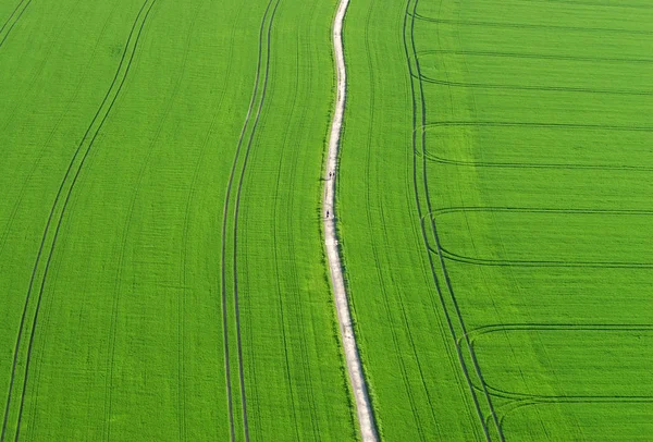 Wanderung Durch Grüne Wiesen — Stockfoto