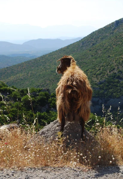 Πού Είστε Όλοι — Φωτογραφία Αρχείου