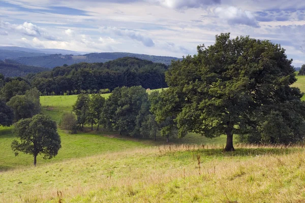 Prachtig Uitzicht Natuur — Stockfoto