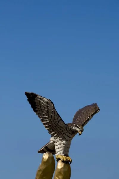 Vacker Utsikt Över Vacker Fågel Naturen — Stockfoto