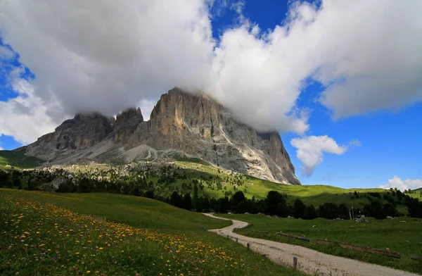 Verso Alto — Foto Stock