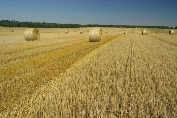 Vista Panoramica Dell Agricoltura Campagna — Foto Stock