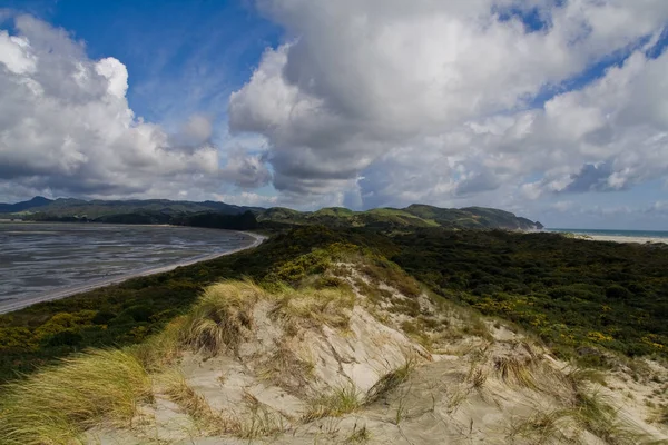 Panoramisch Uitzicht Duinen Selectieve Focus — Stockfoto