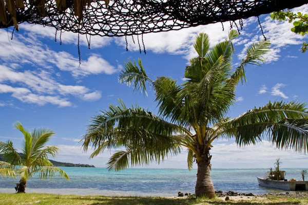 Picturesque View Beautiful Seashore — Stock Photo, Image