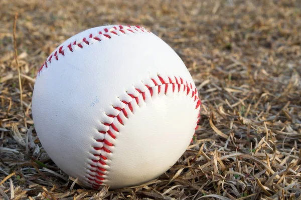 Pallone Baseball Sull Erba — Foto Stock