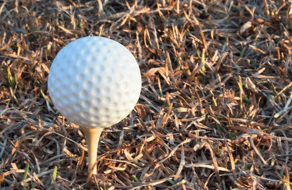 ゴルフボール フィールドスポーツゲーム — ストック写真