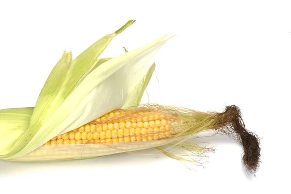 Szczegóły Dotyczące Świeżej Kukurydzy Kolbie — Zdjęcie stockowe