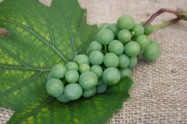 Green White Grape — Stock Photo, Image