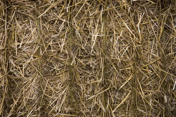 Vista Panoramica Dell Agricoltura Campagna — Foto Stock