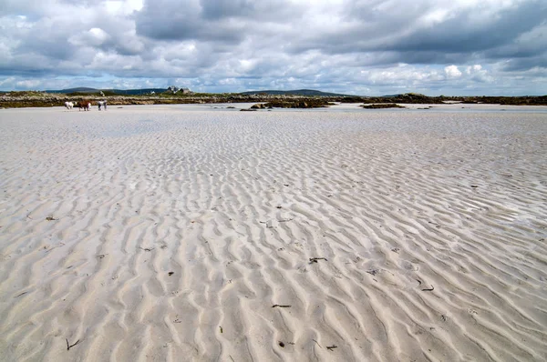 Beach Carna Connemara — Stock Photo, Image