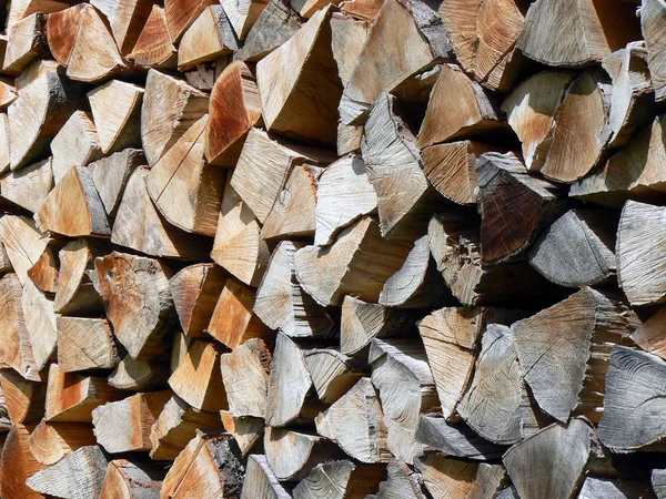 Logs Timber Firewood Trunks — Stock Photo, Image