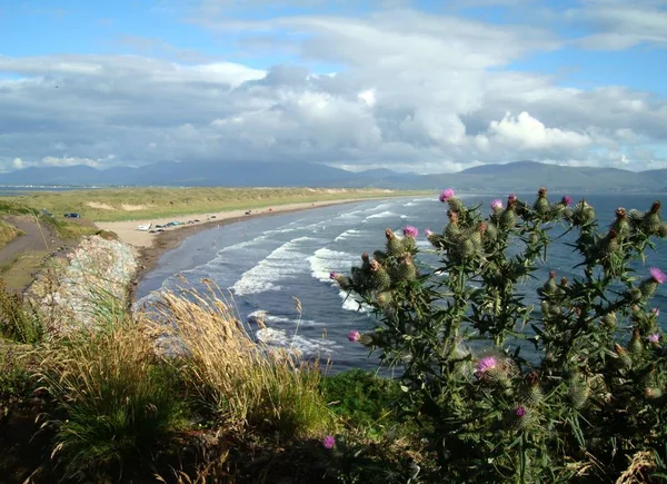 Sea Coastline Landscape Summer Nature Vacation — Stock Photo, Image