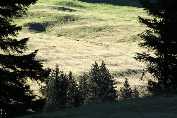 Bella Vista Sulla Natura — Foto Stock