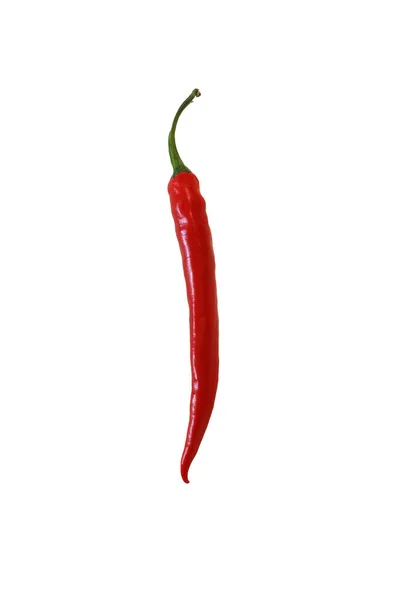 Red Chilli Isolado Fundo Branco — Fotografia de Stock