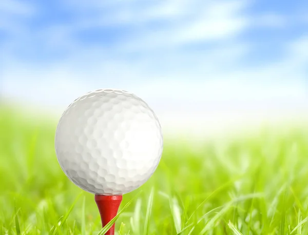 Golf Ball Tee — Stock Photo, Image