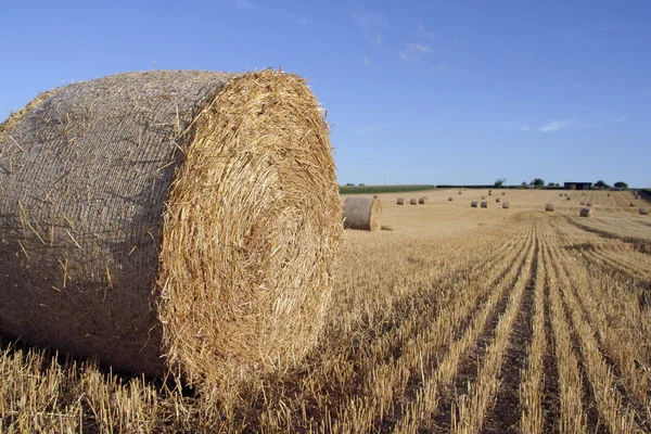 Festői Kilátás Természet Jelenet — Stock Fotó