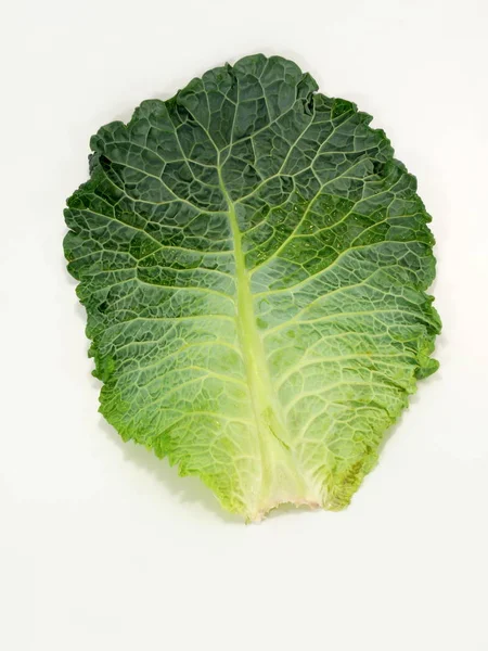 Fresh Green Savoy Cabbage — Stock Photo, Image