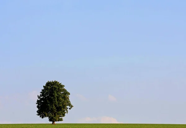 Pitoresca Vista Paisagem Rural — Fotografia de Stock