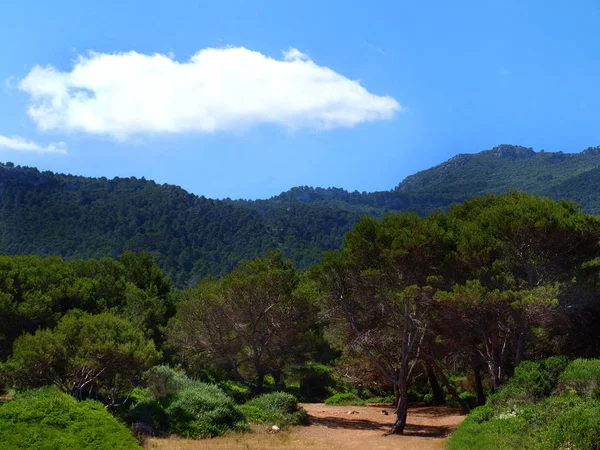 Hermosa Vista Del Paisaje Natural — Foto de Stock