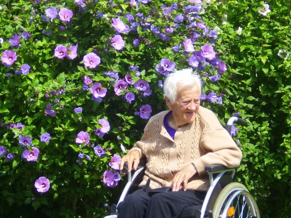 Senior Woman Sitting Wheelchair Her Disabled — Stock Photo, Image