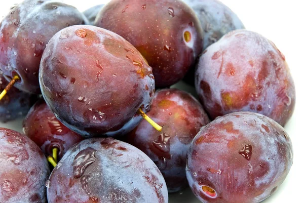 Fresh Plums Water Drops — Stockfoto